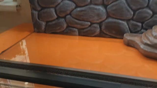 террариум для агамы 90х40х50 смотреть онлайн