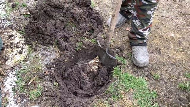 #383 Посадили фруктовые деревья и цветы / Жизнь в деревне смотреть онлайн
