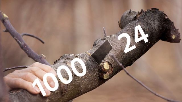 What do bits and bytes ACTUALLY mean? [WikiPIT] смотреть онлайн