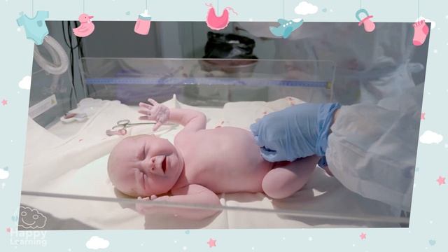 Why do we have our belly button? | Educational Videos For Kids смотреть онлайн