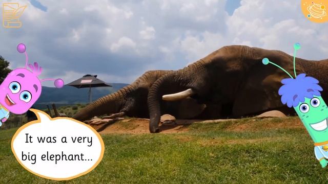 History Of The London Zoo | KS1 History Year 1 | Home Learning