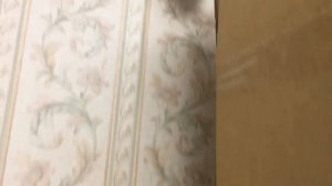 [Распаковка] FNIRSI WD-02 настенный металлоискатель, детектор балок, русское меню