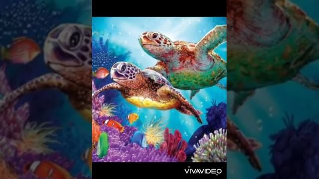 Sass N Frass смотреть онлайн