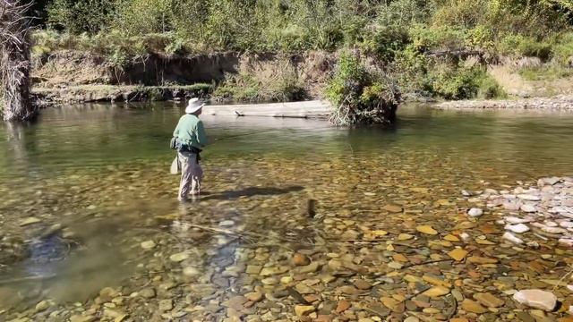 Pops on the Trail in Idaho | Fly Fishing | Educational Video For Kids смотреть онлайн