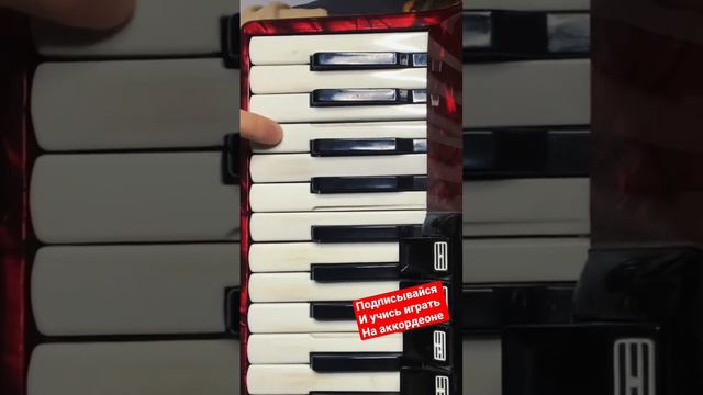 Аккордеон для начинающих. #урокимузыки #аккордеон #баян смотреть онлайн