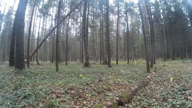 Почему топор вылетает из рук смотреть онлайн