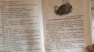 Е.Чарушин "Волчишко"