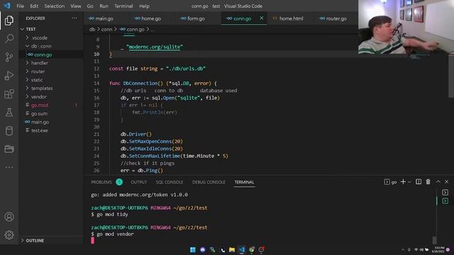 golang live coding how I start a webserver смотреть онлайн