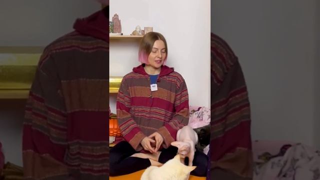Медитация дерево пути #медитация #медитации #хатхайога #йогамаринакарпова смотреть онлайн