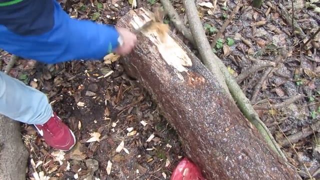 Нож в работе Нарвал-2 часть 2.Сталь У8 смотреть онлайн