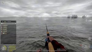 Русская Рыбалка 4. Ладожский архипелаг. Ловим палию.