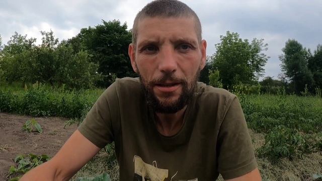 Как избавится от белокрылки на капусте смотреть онлайн