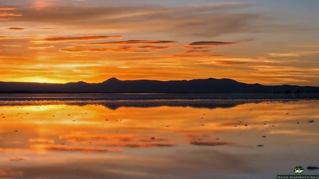 Морские приключения: удивительные история и сокровища