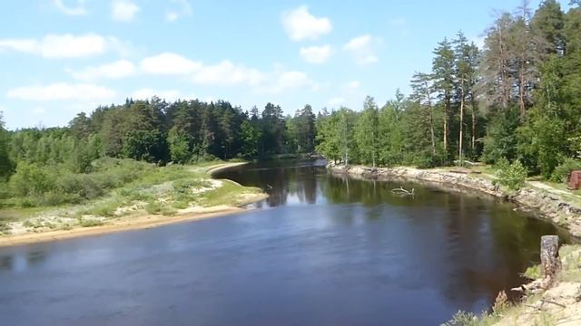 National Park Oksky Reserve - Брыкин Бор, Окский Заповедник. смотреть онлайн