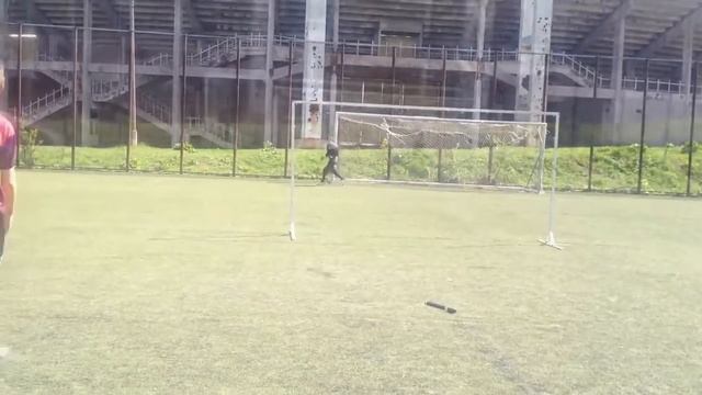 ТРЕНИРОВКА ШТРАФНЫХ FREEKICKS смотреть онлайн