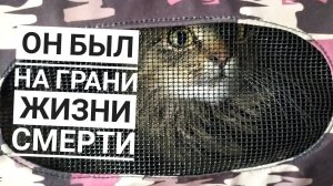 Он чуть не погиб , но теперь он обрел семью
