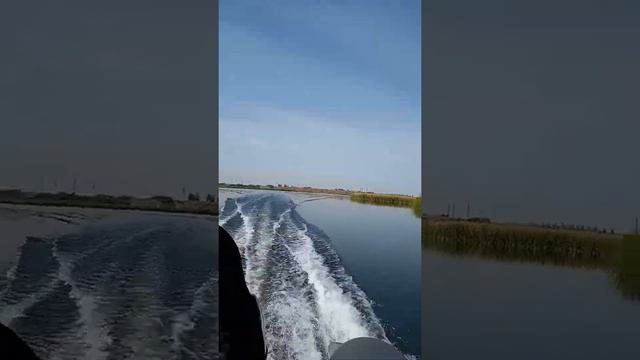 Кайман 360 и Ямаха 9.9 смотреть онлайн