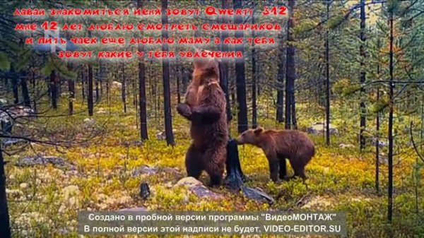 видео про Qwerty_312