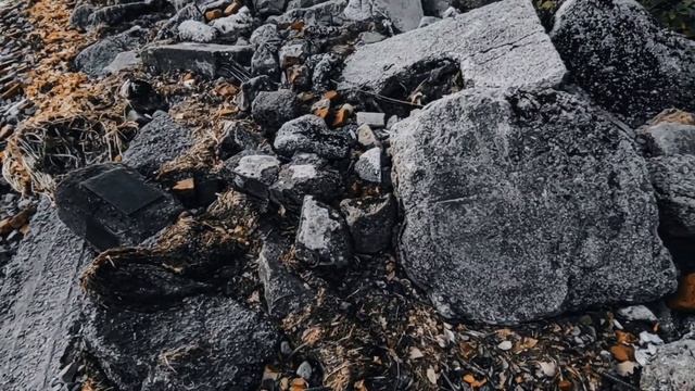 VID_20221002 211112 К Бодлеру (К. Бальмонт)...Павел Васильев Лахтинский смотреть онлайн