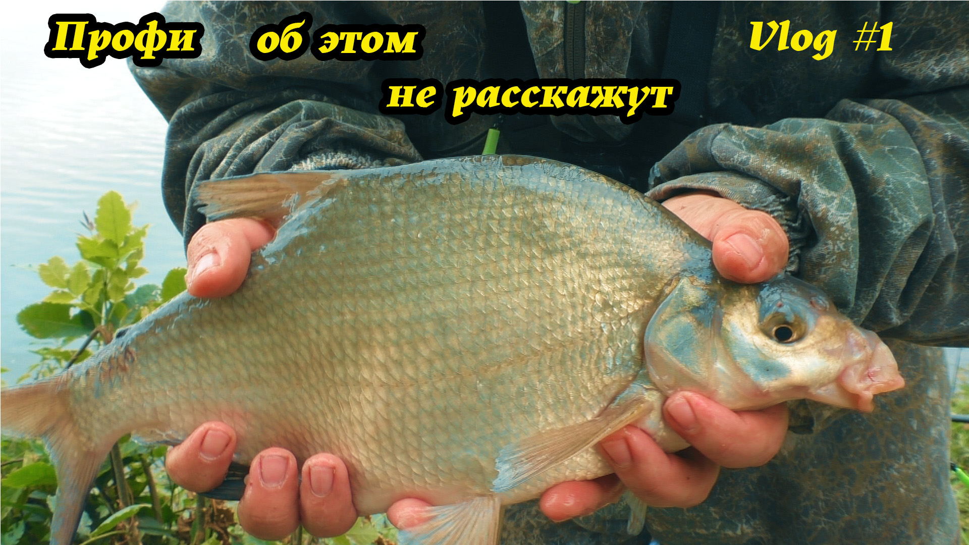 5 правил УСПЕШНОЙ ловли ЛЕЩА на реке смотреть онлайн