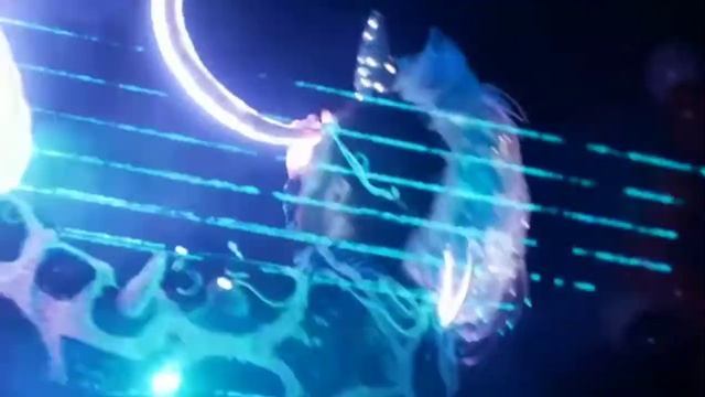 Светодиодное шоу ПЛАМЯ ДРАКОНА. Состав №55 | Event-агентство ANNA LEGENDA смотреть онлайн