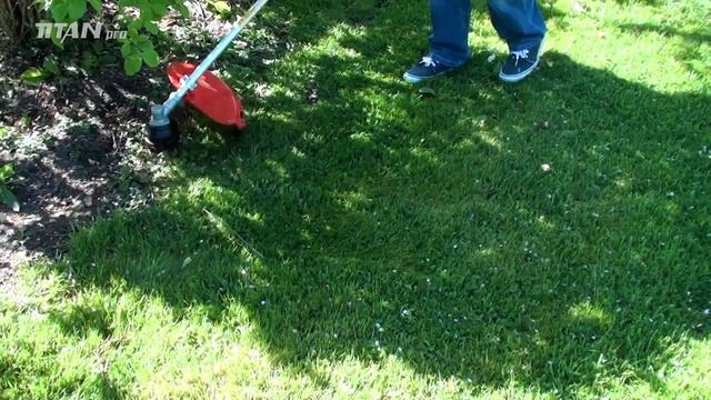 Petrol Brushcutter Strimmer - TP430 From Titan Pro