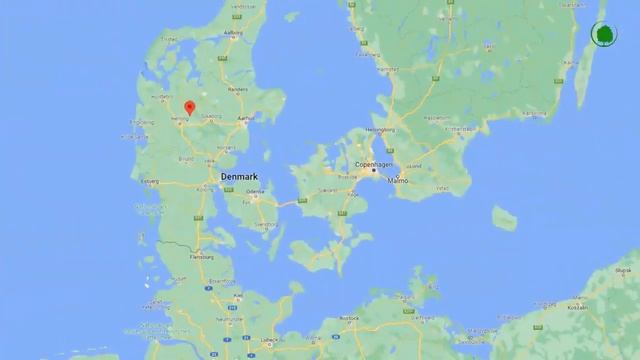 Люди и птицы, сл. В. Шентала, муз. и исп. Н. Кинжибалов смотреть онлайн