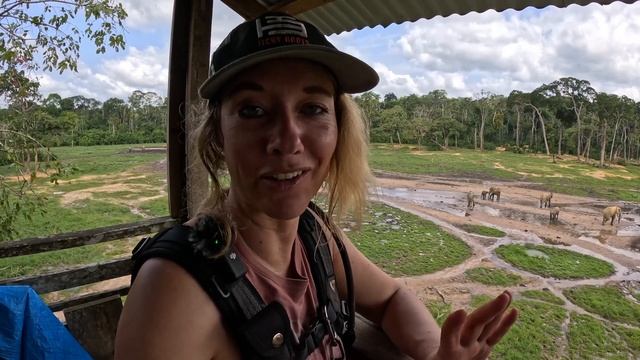 A Ba’aka (pygmy) guide brings me into their forest full of WILD elephants ??[S7-E77] смотреть онлайн