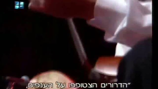 Мандолина, Гитара и Бас Ольга Пэрах xvid смотреть онлайн