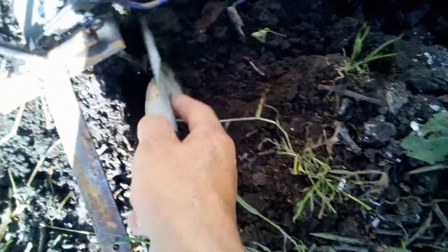 Охота на крота, ловушка на крота 100%, 18+ смотреть онлайн