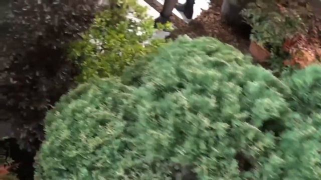 Мы на выставке My Plant & Garden 2019, Милан