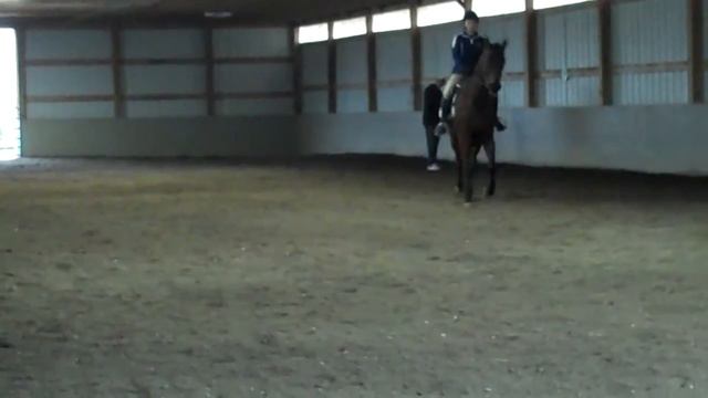 Dressage Clinic 12/17/11 (5)
