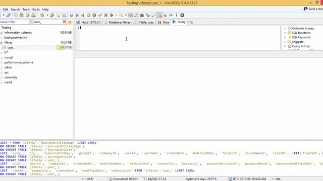 HeidiSQL Tutorial 06 :- How to Apply Filter in HeidiSQL смотреть онлайн