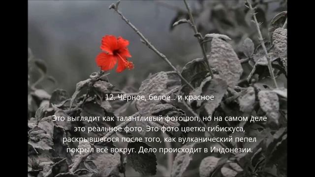 Вы не поверите, что эти 22 фотографии сделаны без фотошопа 2 часть смотреть онлайн
