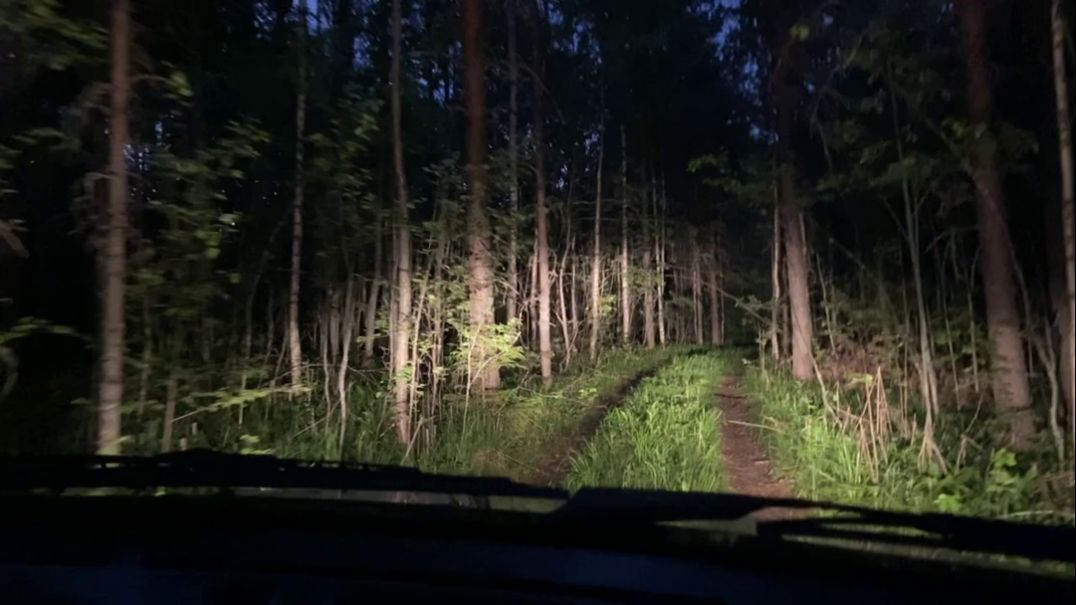 Рыбалка в Карелии. Постройка избы. Фильм 5 Отдых и путешествие. смотреть онлайн