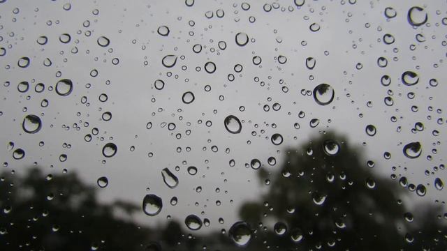 Капли дождя на стекле 4К смотреть онлайн