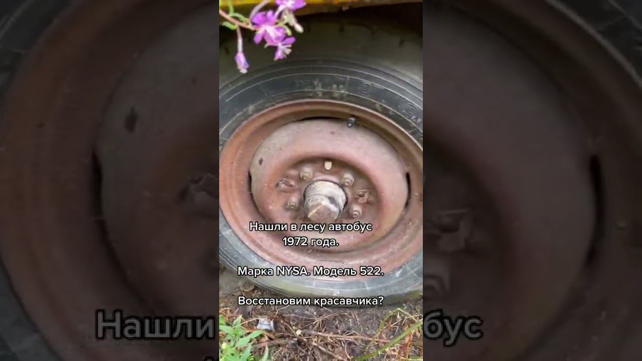 Нашли автобус в лесу смотреть онлайн