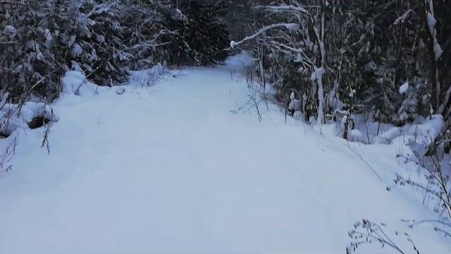 На вездеходе в снег. Ватрушки, подружки, все дела))) смотреть онлайн
