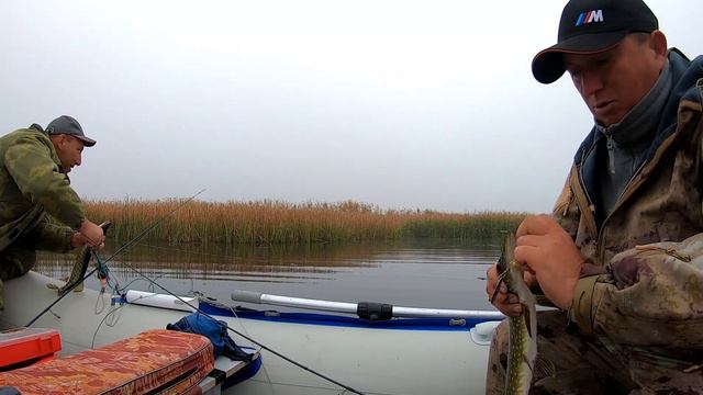 Наша поездка на реку "Малые Ялы" смотреть онлайн