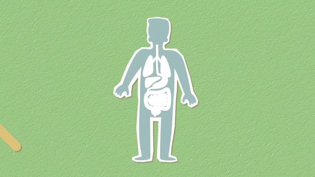 фенхель смотреть онлайн