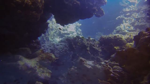 Tauchsafari Ägypten 2016 смотреть онлайн