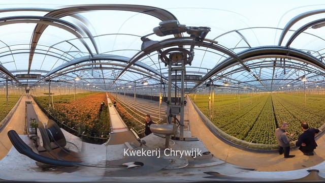Kwekerij Chrywijk 360 graden film смотреть онлайн