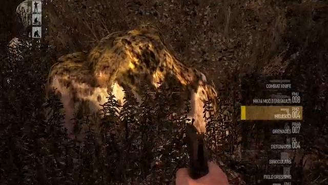 Operation Flashpoint Dragon Rising on 9300GS смотреть онлайн