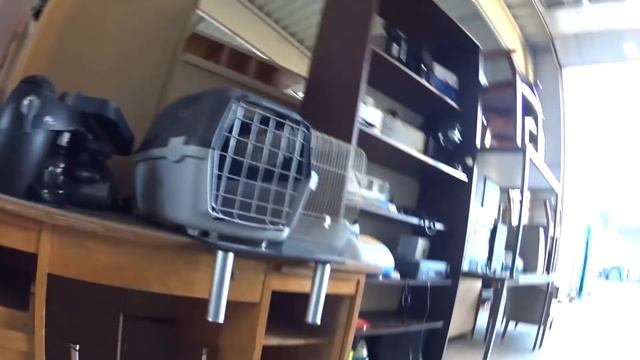 Свалка в городе Ансбах | Первое видео в Новом году! | Мои находки на свалке в Германии №394 смотреть онлайн