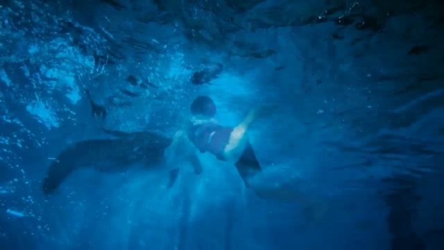 THE MOODY BLUES - BLUE WORLD. ИСТОРИЯ ДЕЛЬФИНА смотреть онлайн