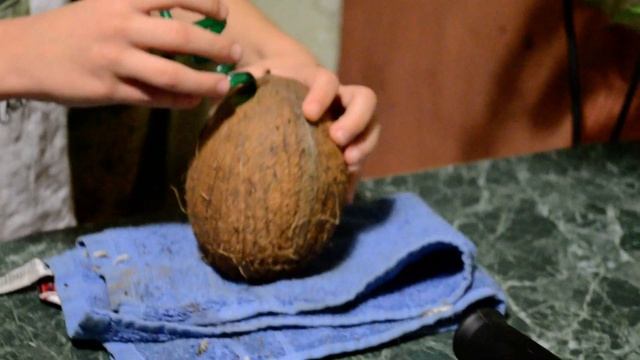А вы ели кокос, как он вам на вкус? Я первый раз в жизни сверлил кокос и пил его сок! Я в восторге! смотреть онлайн