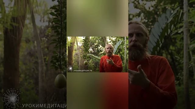 Уроки медитации. В плейлисте на странице полное видео. смотреть онлайн