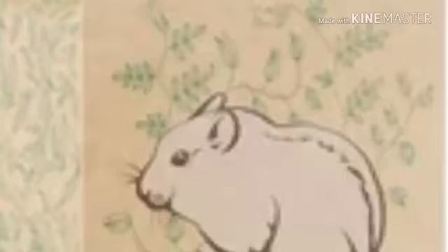 Топ 5 разрещённых кормов для джунгарского хомяка смотреть онлайн
