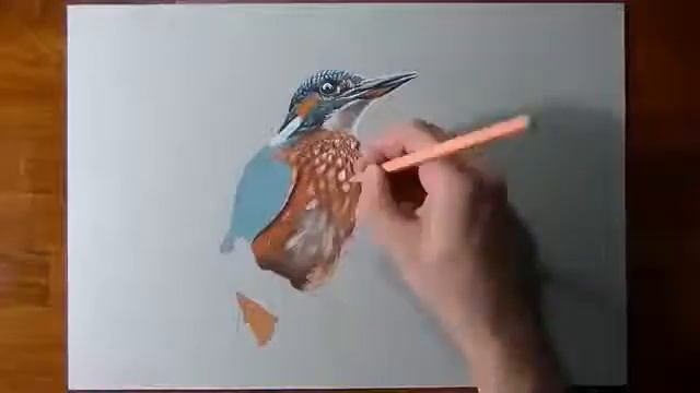 Как нарисовать 3D птицу смотреть онлайн