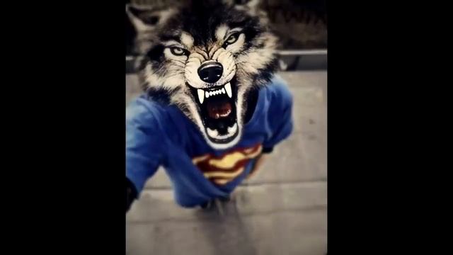 Крутые авы для пацанов рофл (если чо) смотреть онлайн